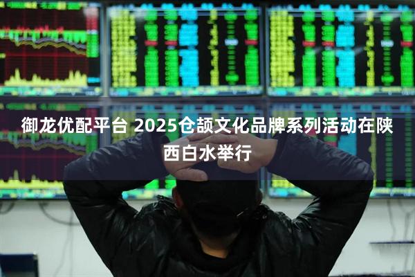 御龙优配平台 2025仓颉文化品牌系列活动在陕西白水举行