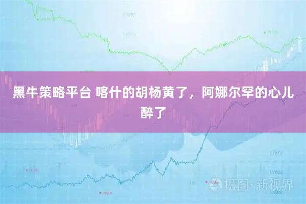 黑牛策略平台 喀什的胡杨黄了，阿娜尔罕的心儿醉了