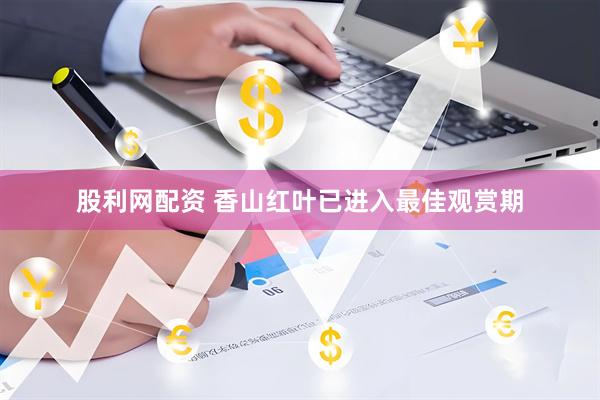 股利网配资 香山红叶已进入最佳观赏期