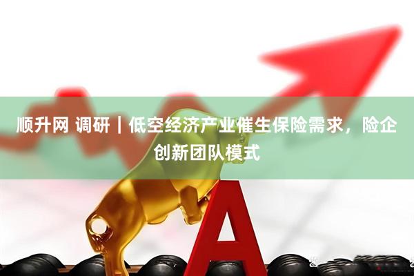 顺升网 调研｜低空经济产业催生保险需求，险企创新团队模式