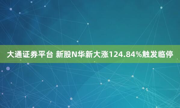 大通证券平台 新股N华新大涨124.84%触发临停