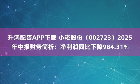 升鸿配资APP下载 小崧股份（002723）2025年中报财务简析：净利润同比下降984.31%